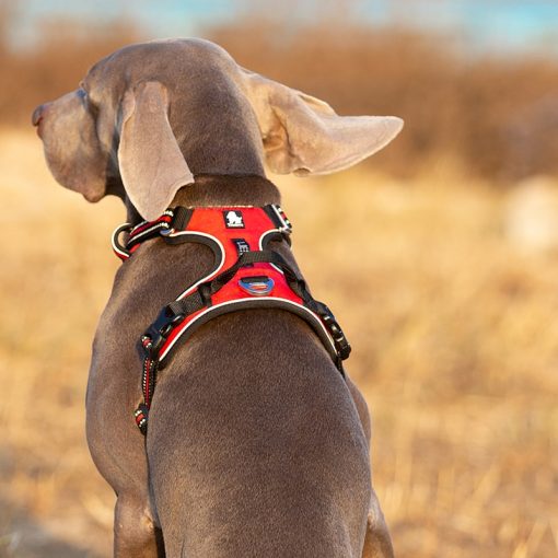 Truelove Pet Reflective Nylon Dog Harness No Pull Adjustable Medium Large Naughty Dog Vest Safety Vehicular Lead Walking Running 4