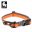 Truelove Dog Collar Nylon for Small medium and Big Dogs Neck Belt Training Walking Light Breathable Running Orange Black TLC5171 9